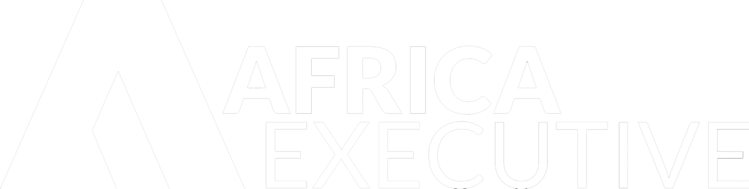The Africa Executive
